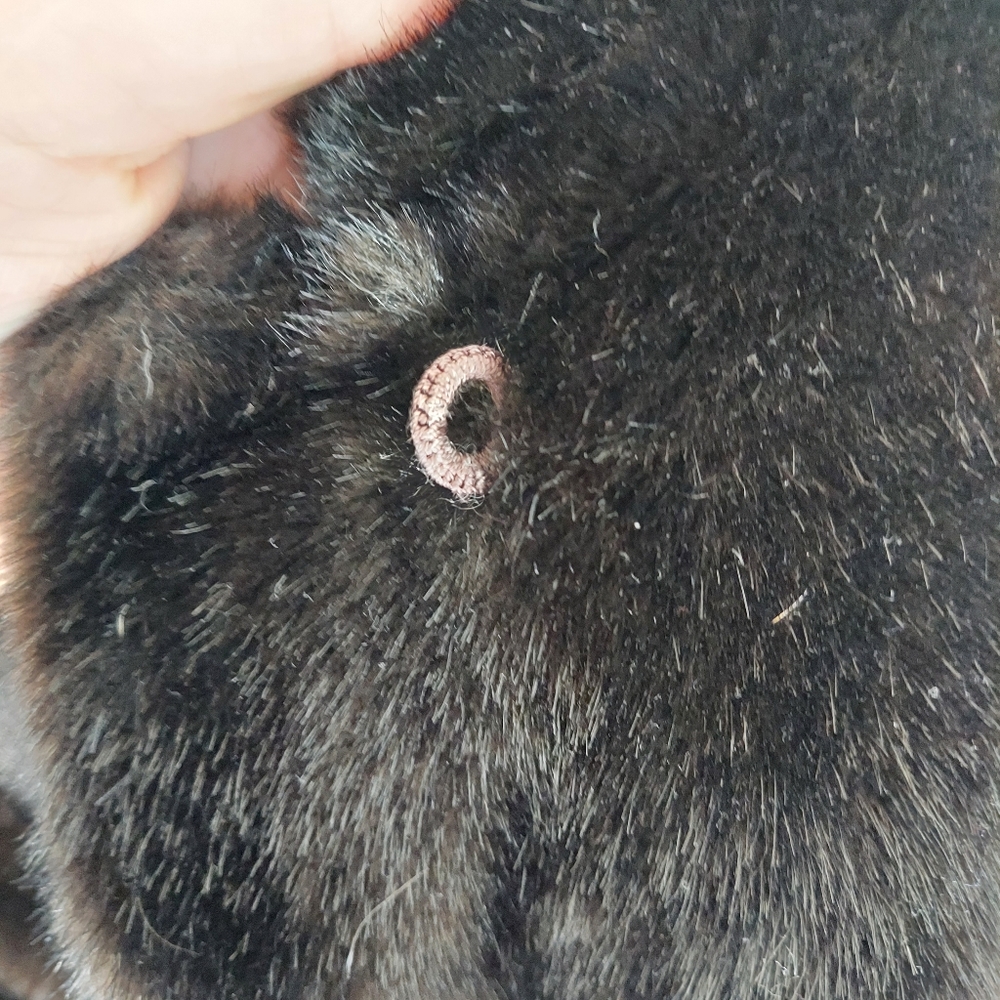 Vintage Union Made Faux Fur Coat - image 6